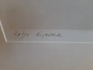 Fon Klement - Boardsnede, titel, Fin d'apres-midi kopen? Bied vanaf 100!