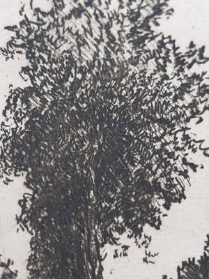 Martin van Waning - "Berkenlaantje" kopen? Bied vanaf 39!