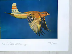 Martin Schwarz - "Vogelflieger" 1997 - Lithographie - Auflage von 350 - signiert - (70 x 50 cm) kopen? Bied vanaf 80!