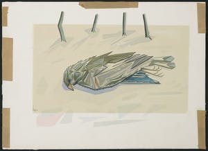 Niet of onleesbaar gesigneerd - Aquarel, Vogel kopen? Bied vanaf 1!