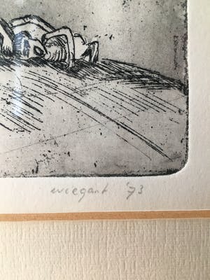 Wil Wiegant - Verwording kopen? Bied vanaf 50!