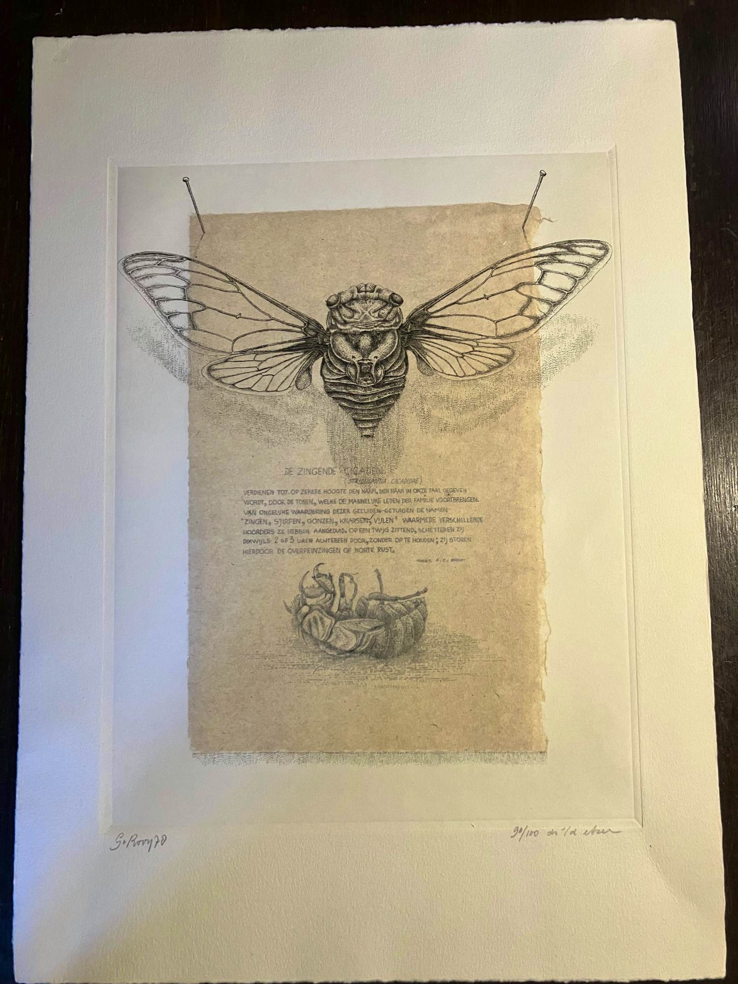 Gerard van Rooy - zonder titel kopen? Bied vanaf 20!