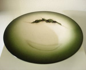 Toon Thijs - Schildpadschaal kopen? Bied vanaf 125!