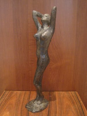 Adri de Waard - Poserend naakt kopen? Bied vanaf 320!