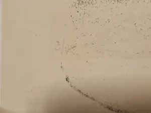 Willem Boon - in 1948 gemaakte Houtsnede – vrouwen portret - zeer kleine oplage (15) kopen? Bied vanaf 32!