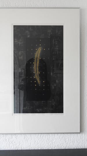 Bert Vredegoor - zie de zon kopen? Bied vanaf 10!