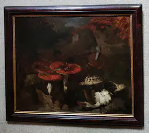 Theo Fransiscus Goedvriend - Paddenstoelen kopen? Bied vanaf 335!