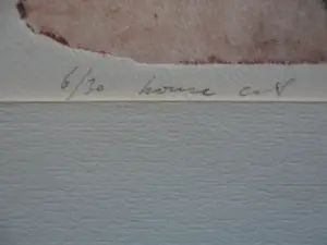 Michel van Overbeeke - Ets. Titel, "House Cat". Uit 1987 kopen? Bied vanaf 40!