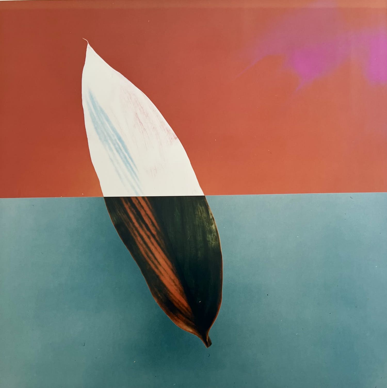 Jean Ruiter - handgesigneerde foto | 'Complemented & Opposed' kopen? Bied vanaf 1!