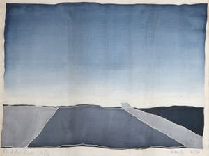 Niet of onleesbaar gesigneerd - Zeefdruk op zijde, Land dijk lucht kopen? Bied vanaf 10!