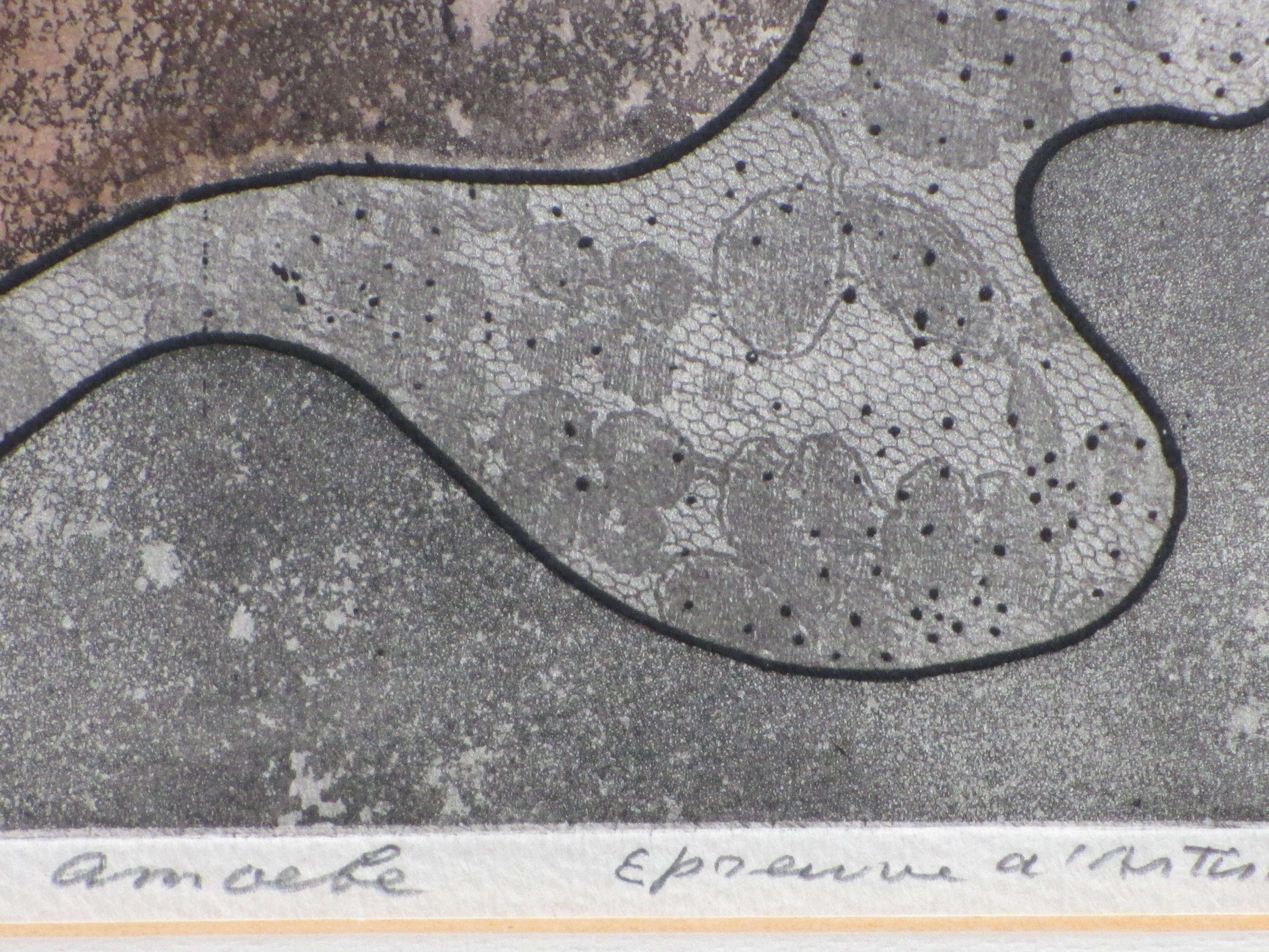 Harry van Kruiningen - Amoebe - Kleurets kopen? Bied vanaf 100!