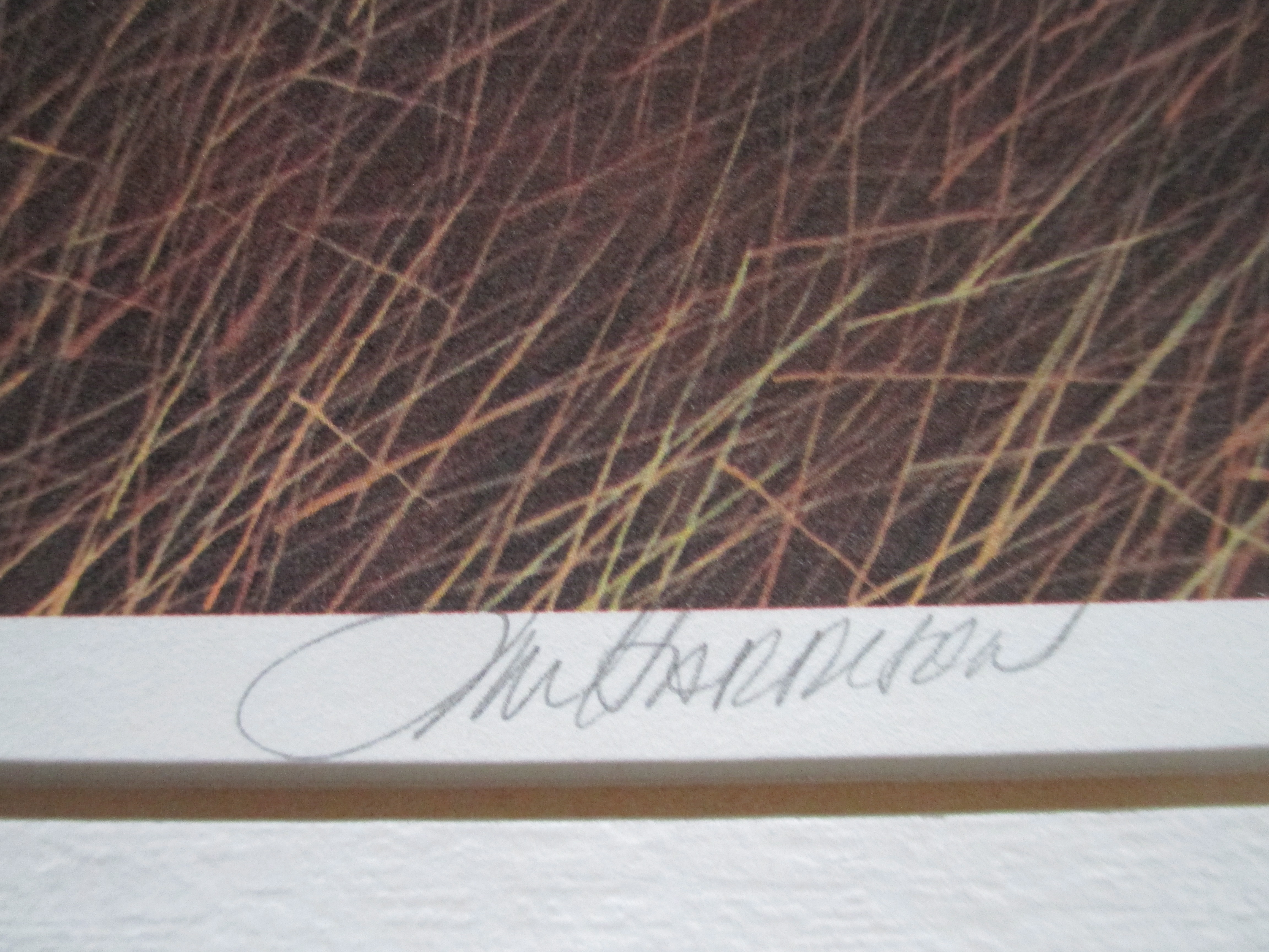 Jim Harrison - Litho kopen? Bied vanaf 35!