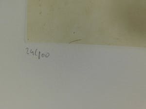 Leonor Fini - La Sorcière sur le Balai kopen? Bied vanaf 40!