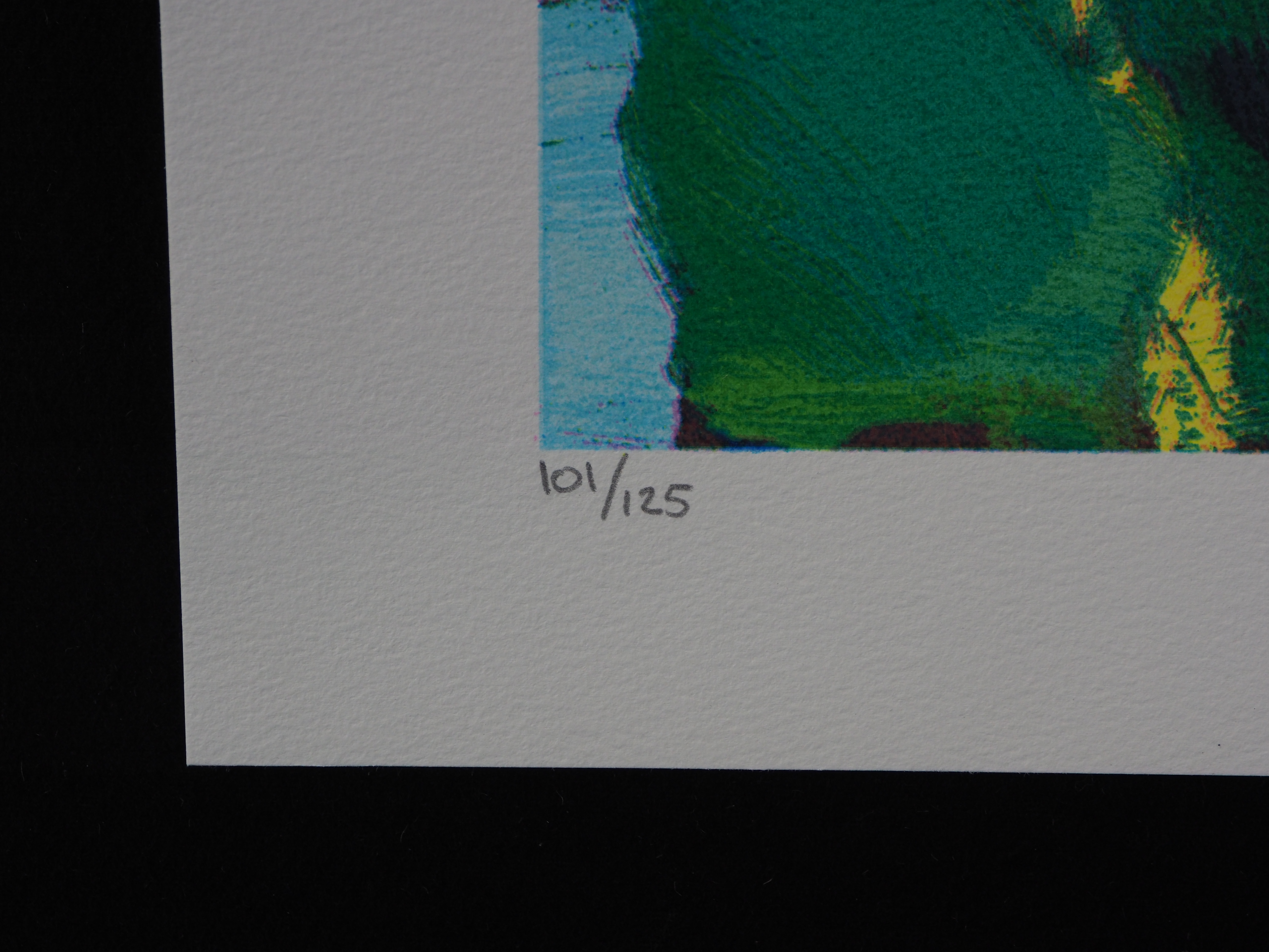 Jentsje Popma - Bollenveld kopen? Bied vanaf 50!