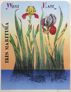 Niet of onleesbaar gesigneerd - Litho. Zonder titel - Ingelijst kopen? Bied vanaf 10!