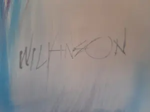 Mandy Wilkinson - Onbekend kopen? Bied vanaf 100!