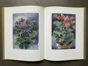 Fon Klement - Aquarellen - hardcover boek kopen? Bied vanaf 20!