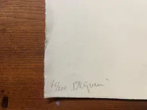 Ap Sok - Olijven kopen? Bied vanaf 40!