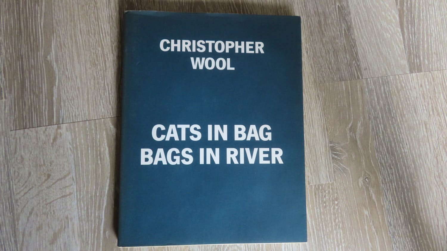 Buy Christopher Wool - CATS IN BAG BAGS IN RIVER? Bid from 120!