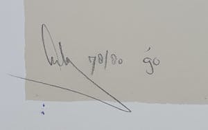 Arty Grimm - Zeefdruk (1990) kopen? Bied vanaf 45!