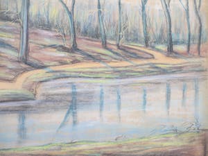 Romke faber - Bosgezicht bij vijver - Pastel kopen? Bied vanaf 70!