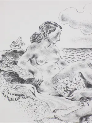 Wilm Wouters - Baadsters aan de kust - Litho kopen? Bied vanaf 35!