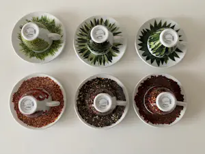 illy Art Collection - Illy Art collectie set 6espressokopjes Home of Texture Francis Ford Coppola 2000 kopen? Bied vanaf 89!