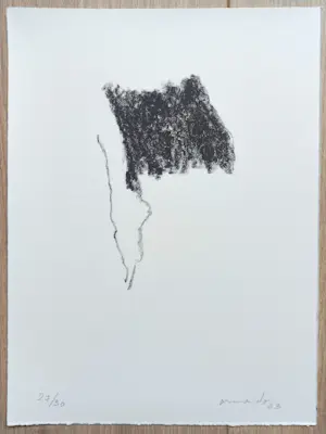 Armando - Die Fahne, litho kopen? Bied vanaf 95!