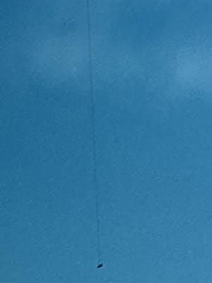 Margriet Smulders - AER-ALLEGORIE VAN DE LUCHT kopen? Bied vanaf 295!