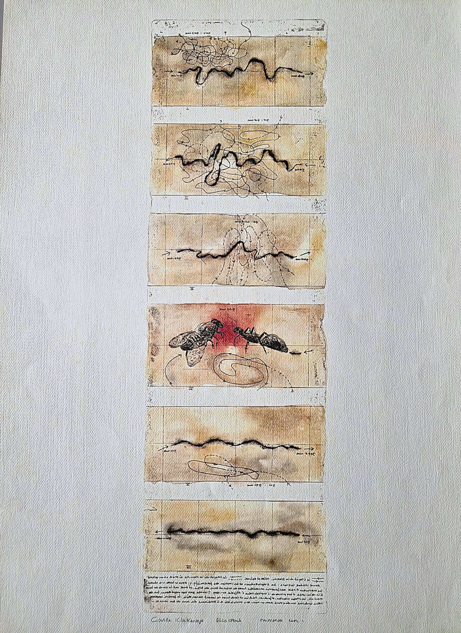 Carla Kleekamp - Unieke (1 exemplaar) - handgekleurde Ets & Aquatint - GROOT! kopen? Bied vanaf 24!