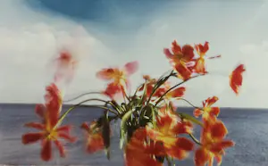 Wout Berger - Foto, Tulpen - Ingelijst kopen? Bied vanaf 250!