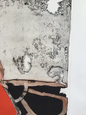 Cees Kortlang - Grote ets, gesigneerd geschept papier , oplage1/10 kopen? Bied vanaf 50!