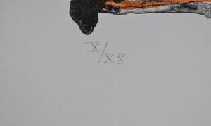 Hans Vanhorck - Walter Brems- Anouk, Rode kruis - Ingelijst - Groot kopen? Bied vanaf 50!