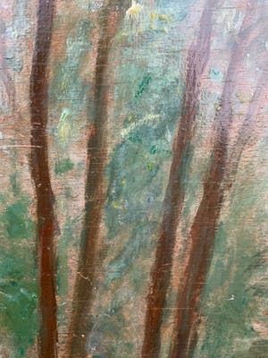 Xavier De Cock - Boszicht / Sous-bois kopen? Bied vanaf 69!