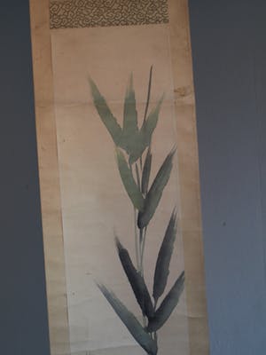 Niet of onleesbaar gesigneerd - Japanse of Chinese scroll, “Kleine vogel” - Aquarelverf op papier, 19e Eeuw kopen? Bied vanaf 10!