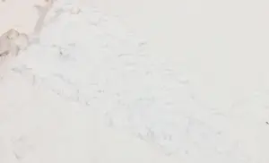 Piotr Konkel - Lot van twee zeefdrukken kopen? Bied vanaf 1!