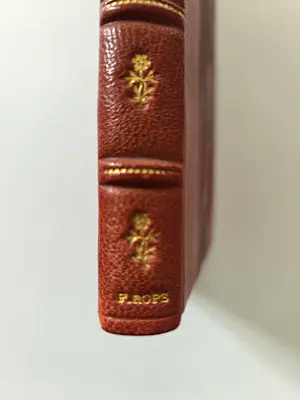 Felicien Rops - Frontispice. Heliogravure. Uit beroemd boek. kopen? Bied vanaf 275!