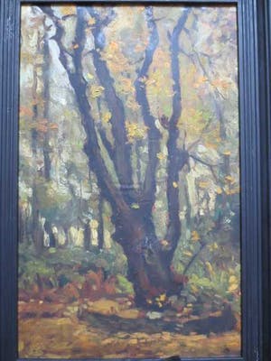 Cornelis Kievit - Dwarreling. kopen? Bied vanaf 100!