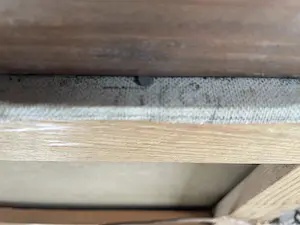 Antoon Markus - (Gezicht op) Tilly kopen? Bied vanaf 75!