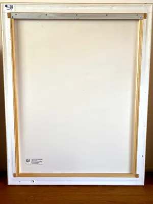 Reinier Lucassen - ‘is Art 79’ Ingelijst kopen? Bied vanaf 175!