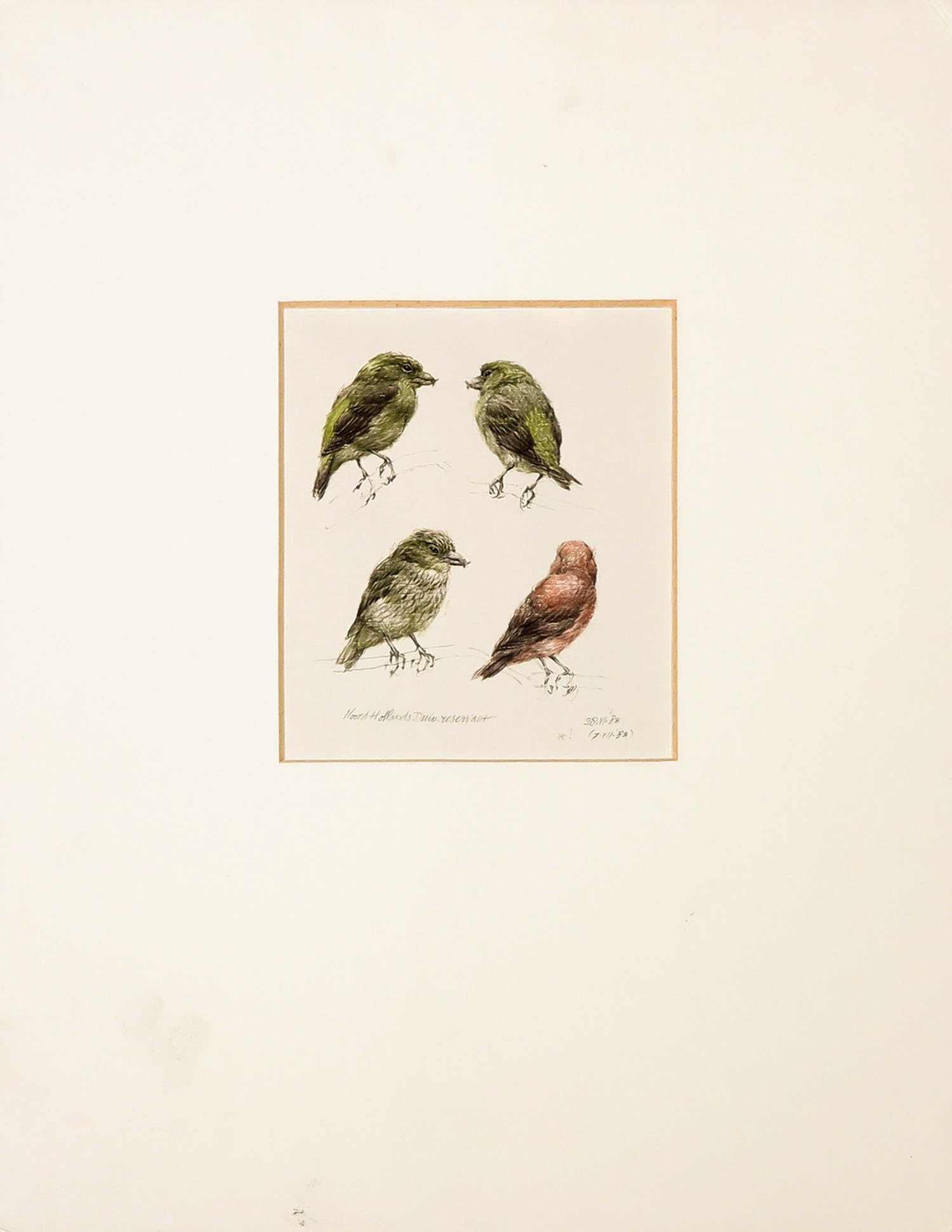 Peter Vos - Aquarel, Noord-Hollands Duinreservaat kopen? Bied vanaf 300!