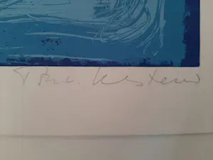 Ton van Kesteren - Prachtige kleurrijke grote zeefdruk kopen? Bied vanaf 35!