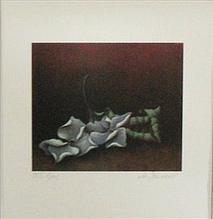 Gunda Oehm - e.a: collectie van zes handgesigneerde zeefdrukken: Diverse Composities kopen? Bied vanaf 29!