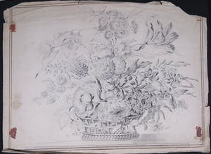 Niet of onleesbaar gesigneerd - Lot, Diverse (pen)tekeningen van bloemen en planten [8] kopen? Bied vanaf 1!