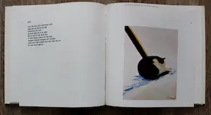 Roger Raveel - boek - gesigneerd - 1981 - oplage: 100 gesigneerde stuks kopen? Bied vanaf 125!