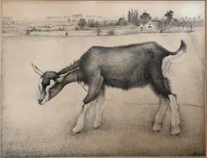 Jan Wittenberg - Geitje kopen? Bied vanaf 75!