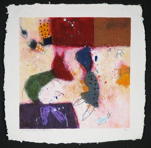 Alexander Vogels - Zeefdruk, Evolutions kopen? Bied vanaf 1!