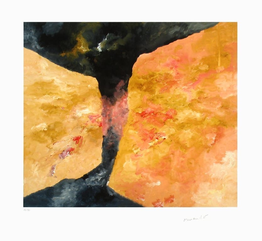 Armando - Handgesigneerde Giclée, Der Zaun verkocht voor € 115!