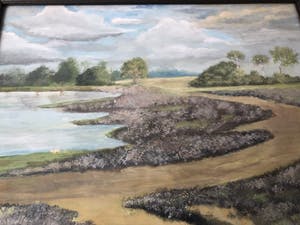 Thomas van Wissen - Ven in heidelandschap kopen? Bied vanaf 1!