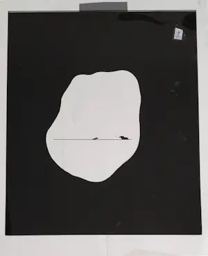 Han Jansen - Han Jansen – uniek lot zeefdrukvellen en zeefdruk kopen? Bied vanaf 20!